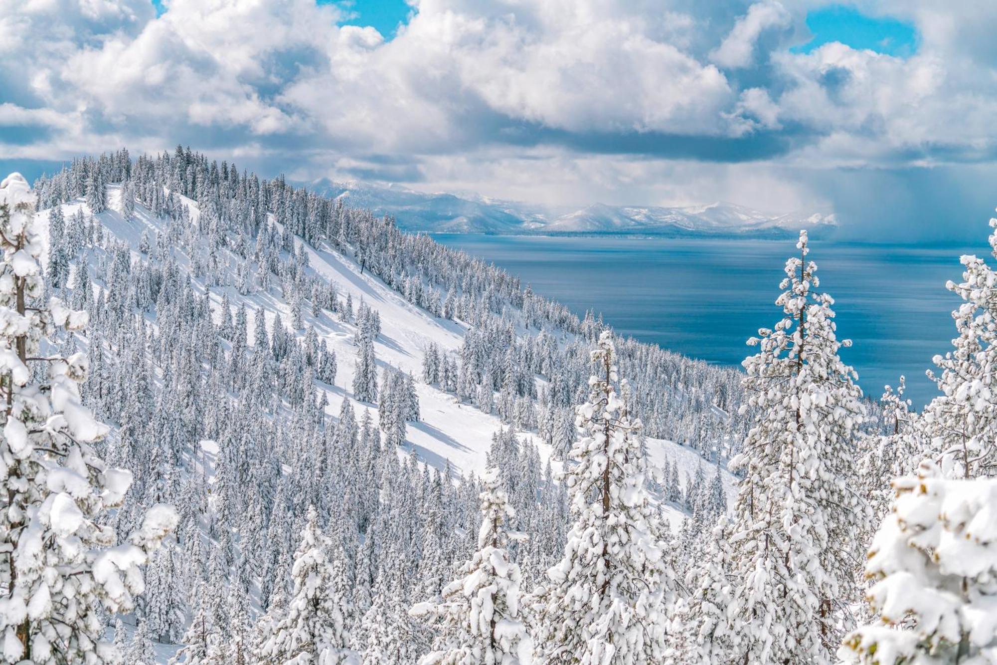 Tahome & Tahoe Place Incline Village Rum bild